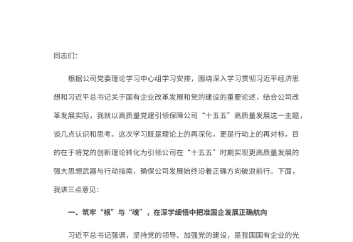 公司领导关于以高质量党建引领保障公司“十五五”高质量发展的研讨发言