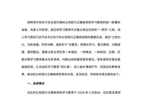 2026年树立和践行正确政绩观学习教育“回头看”工作情况报告